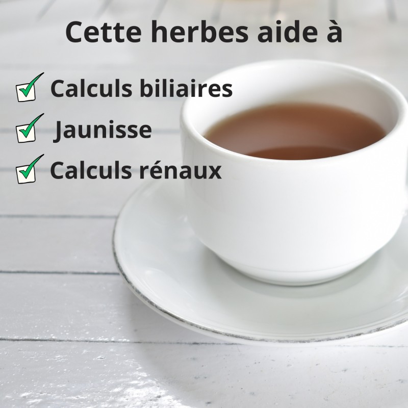 Racine de Pissenlit - 100g