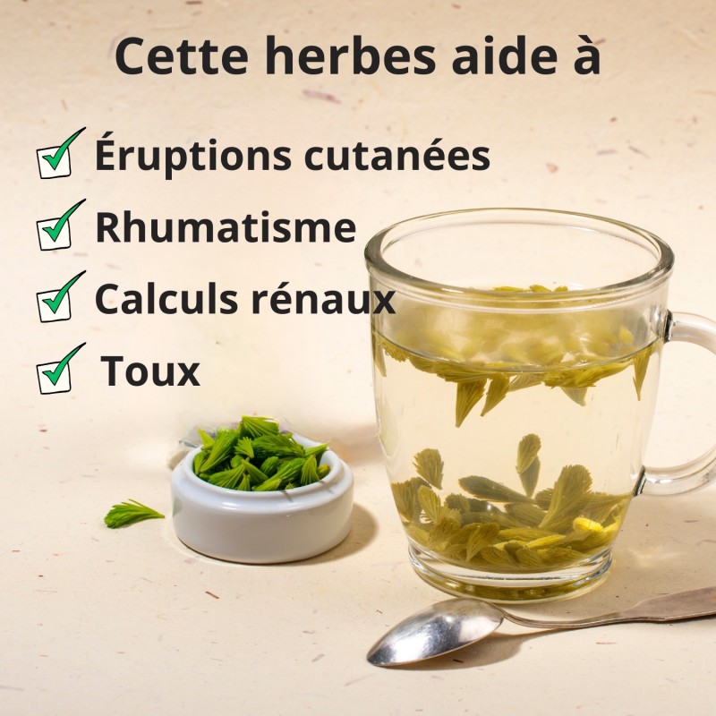 Aiguilles de Pin - 50g