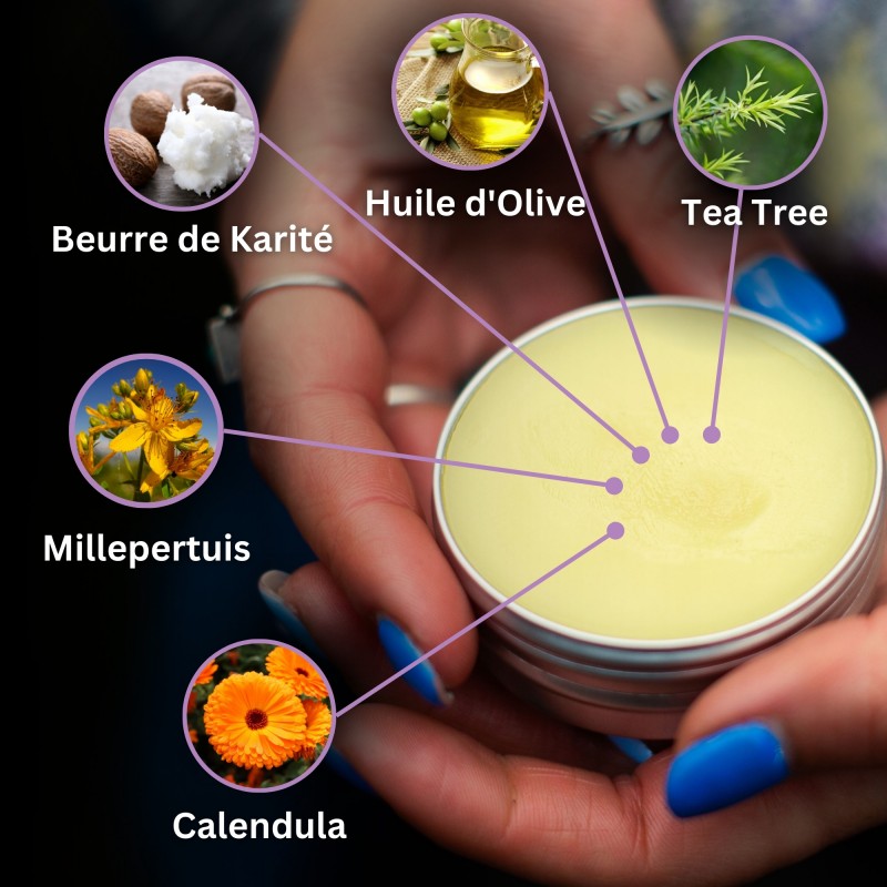 3x Pommade au Calendula pour Plaies, Brûlures et Cicatrices - 40ml