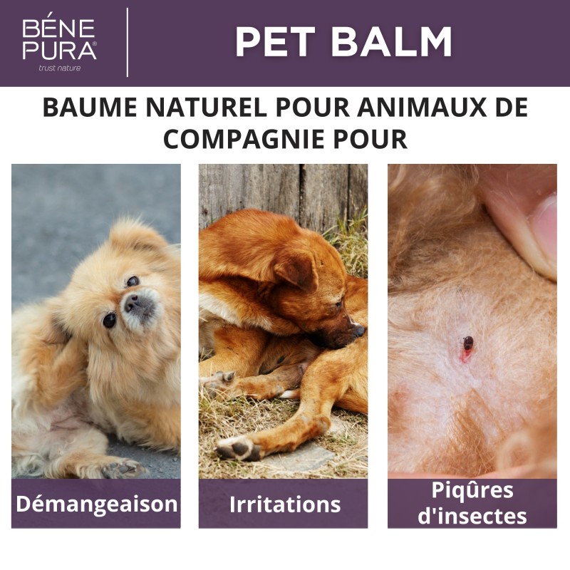 Anti Irritations baume pour Coussinet Chien au Plantain - 40ml