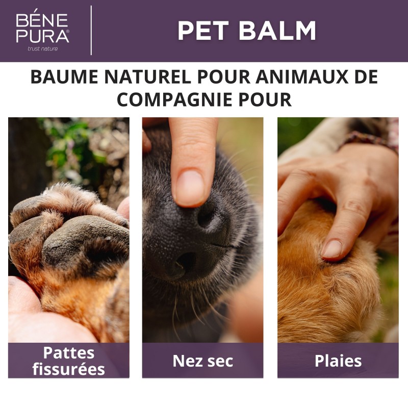 Régénérant baume pour Coussinet Chien au Calendula - 40ml