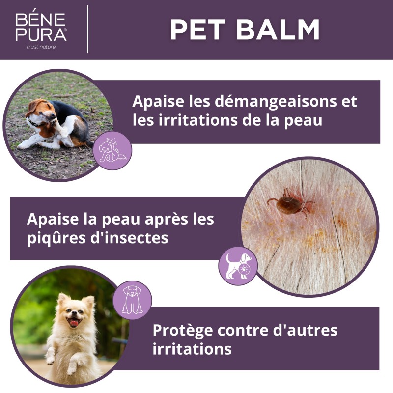 Anti Irritations baume pour Coussinet Chien au Plantain - 40ml