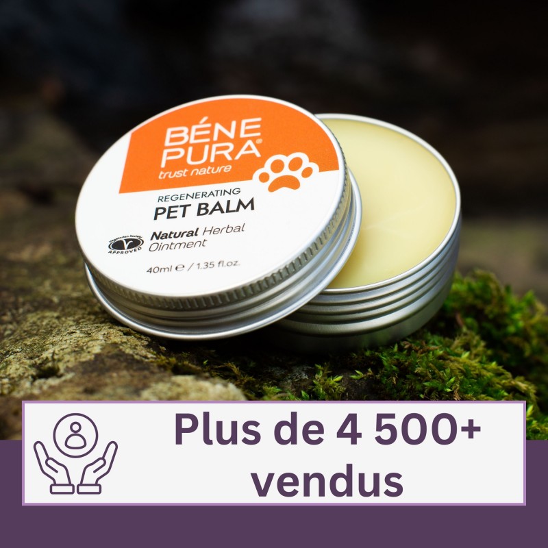 Régénérant baume pour Coussinet Chien au Calendula - 40ml