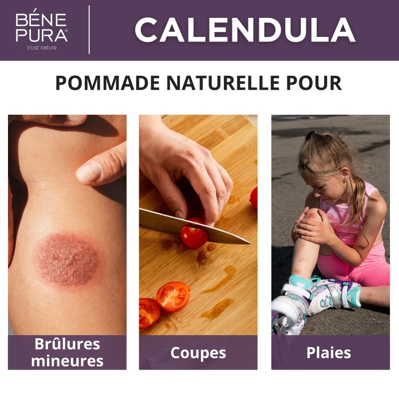 Pommade au Calendula pour Plaies, Brûlures et Cicatrices à lAloe Vera et Millepertuis - 40ml