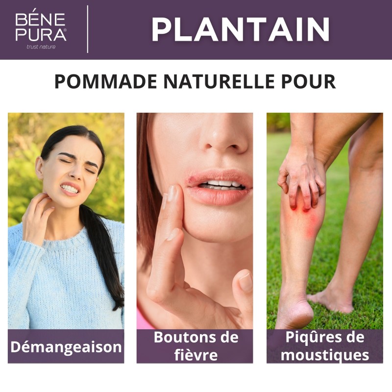 Pommade Plantain pour les Éruptions cutanées et Démangeaisons - 40ml