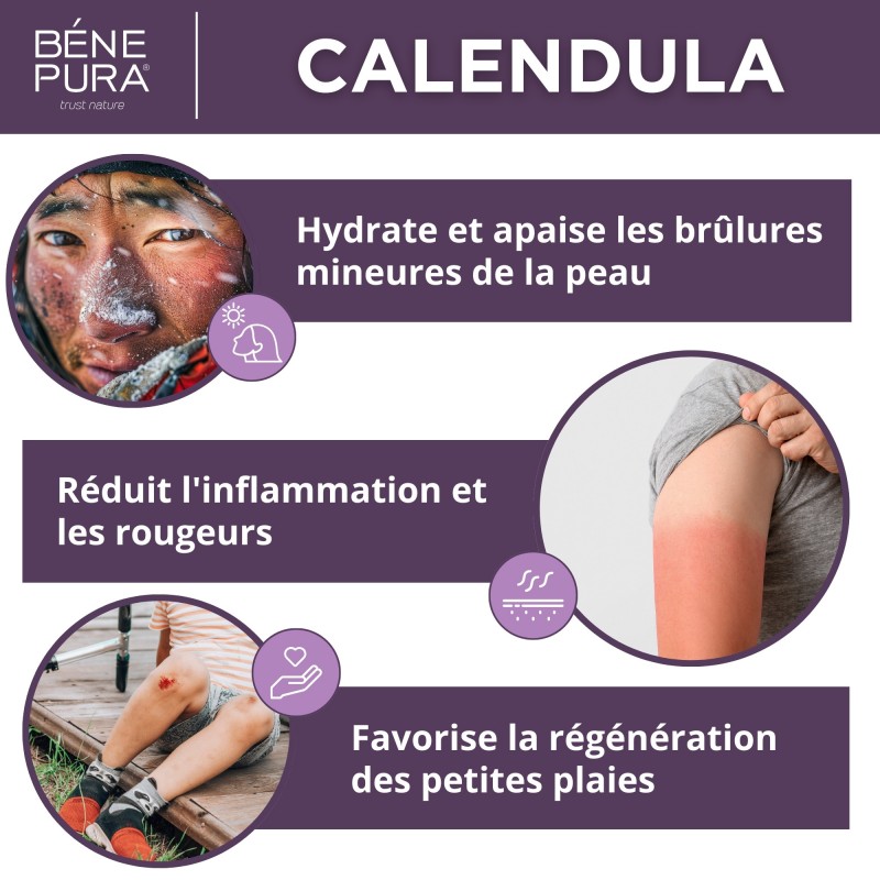 Pommade au Calendula pour Plaies, Brûlures et Cicatrices - 40ml