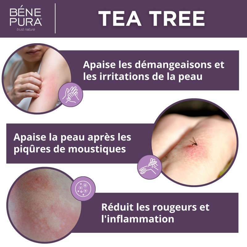 Pommade Tea Tree pour les Éruptions cutanées et Démangeaisons - 40ml