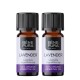 2x Bio Huile essentielle de Lavande - 10ml - Benepura.fr 2x Bio Huile essentielle de Lavande - 10ml