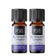 2x Bio Huile essentielle de Romarin Camphré - 5ml - Benepura.fr 2x Bio Huile essentielle de Romarin Camphré - 5ml