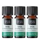 3x Bio Huile essentielle de Basilic Tropical - 5ml - Benepura.fr 3x Bio Huile essentielle de Basilic Tropical - 5ml