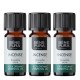 3x Bio Huile essentielle de Encens Oliban - 10ml