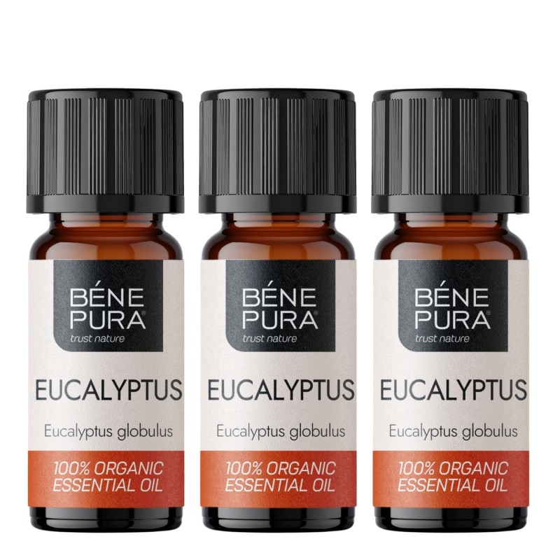 3x Bio Huile essentielle de Eucalyptus Globulus - 10ml 3x Bio Huile essentielle de Eucalyptus Globulus - 10ml - Huiles essentielles