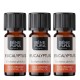 3x Bio Huile essentielle de Eucalyptus Globulus - 10ml - Benepura.fr 3x Bio Huile essentielle de Eucalyptus Globulus - 10ml