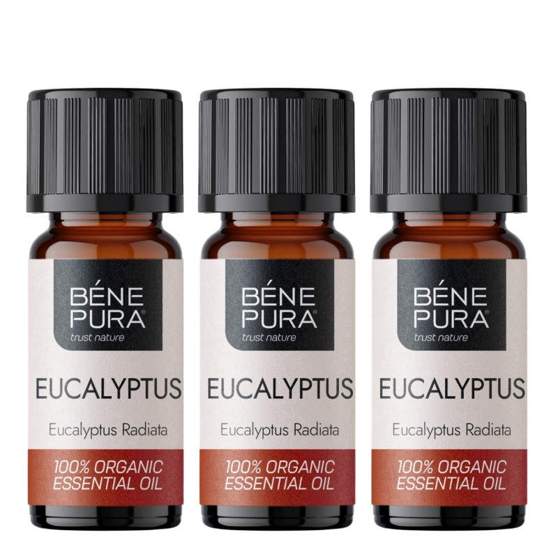 3x Bio Huile essentielle de Eucalyptus Radiata - 5ml - Huiles essentielles