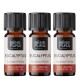 3x Bio Huile essentielle de Eucalyptus Radiata - 5ml - Benepura.fr 3x Bio Huile essentielle de Eucalyptus Radiata - 5ml