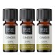 3x Bio Huile essentielle de Gingembre - 5ml