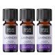 3x Bio Huile essentielle de Lavande - 10ml - Benepura.fr 3x Bio Huile essentielle de Lavande - 10ml