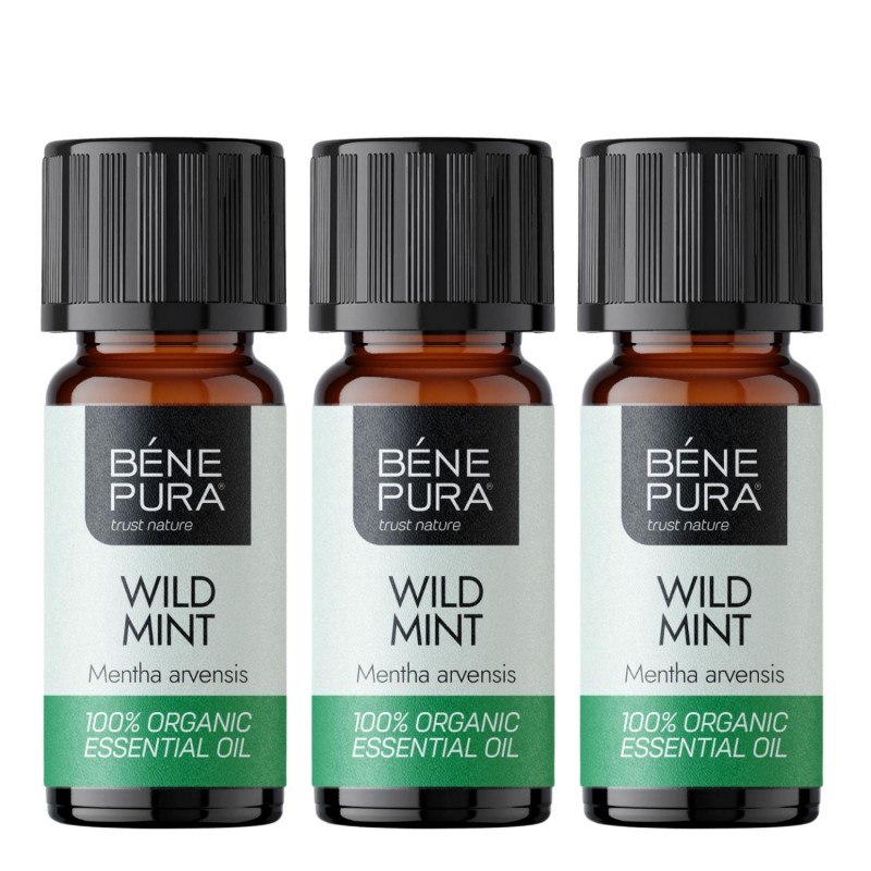 3x Bio Huile essentielle de Menthe des champs - 5ml 3x Bio Huile essentielle de Menthe des champs - 5ml - Huiles essentielles