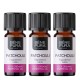 3x Bio Huile essentielle de Patchouli - 10ml - Benepura.fr 3x Bio Huile essentielle de Patchouli - 10ml