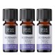 3x Bio Huile essentielle de Romarin à Cinéole - 10ml
