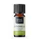 Bio Huile essentielle de Citronnelle de Ceylan - 10ml - Benepura.fr Bio Huile essentielle de Citronnelle de Ceylan - 10ml