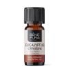 Bio Huile essentielle de Eucalyptus Citronné - 5ml