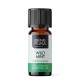 Bio Huile essentielle de Menthe des champs - 5ml - Benepura.fr Bio Huile essentielle de Menthe des champs - 5ml
