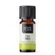 Bio Huile essentielle de Tea Tree - 10ml - Benepura.fr Bio Huile essentielle de Tea Tree - 10ml