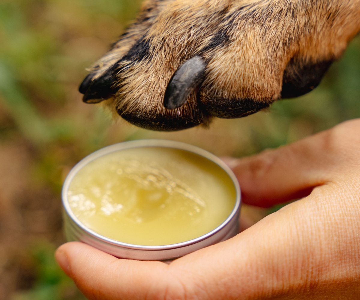 Baume anti-irritation pour animaux de compagnie au plantain