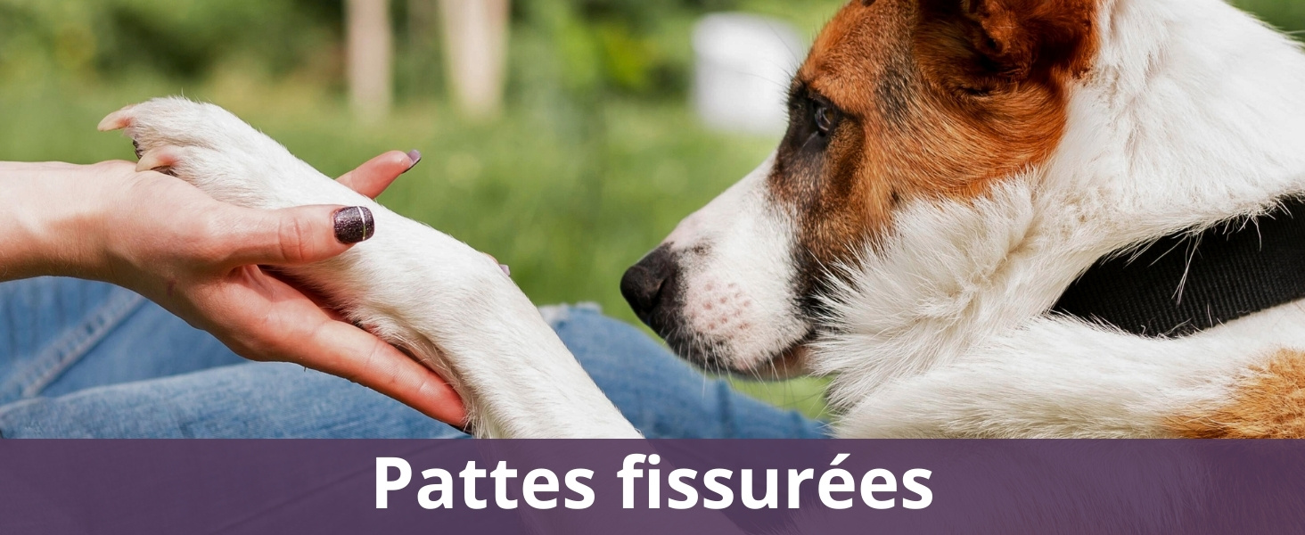 Pattes fissurées