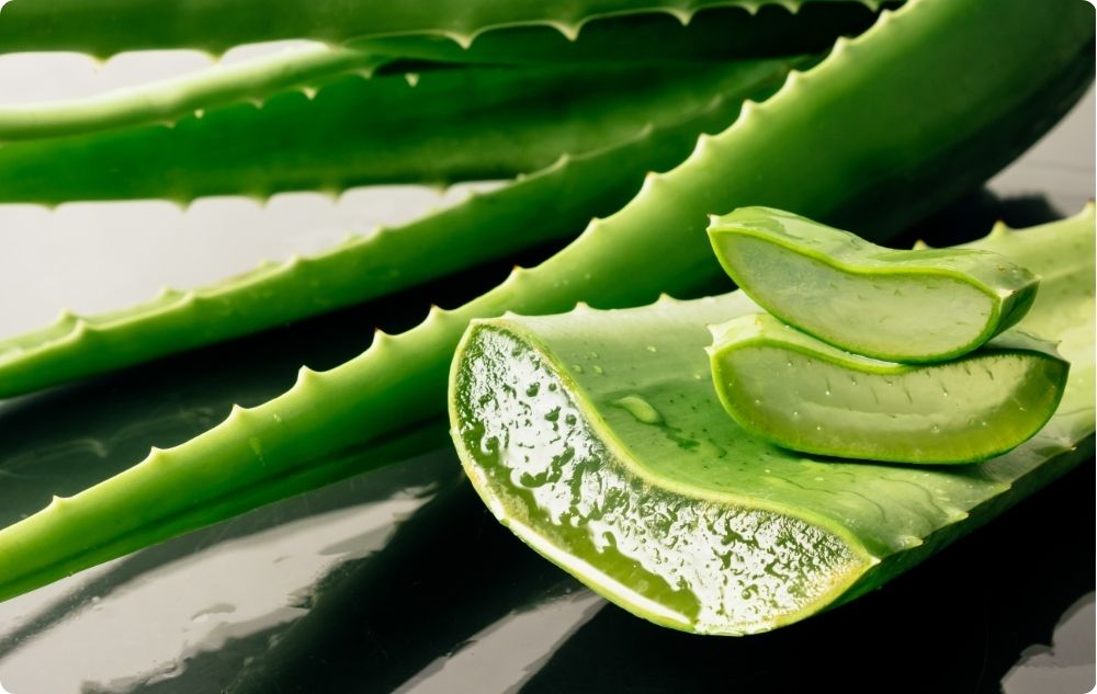 Gel d’Aloe Vera