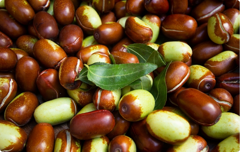 À quoi sert l’Huile de Jojoba ?