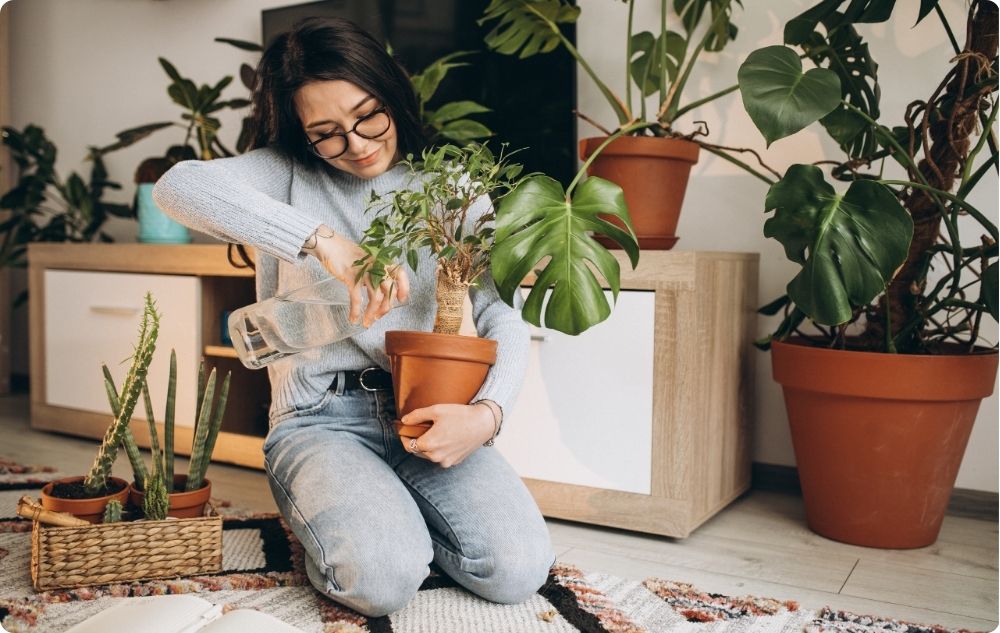 Les bienfaits de l'argent colloïdal pour les plantes